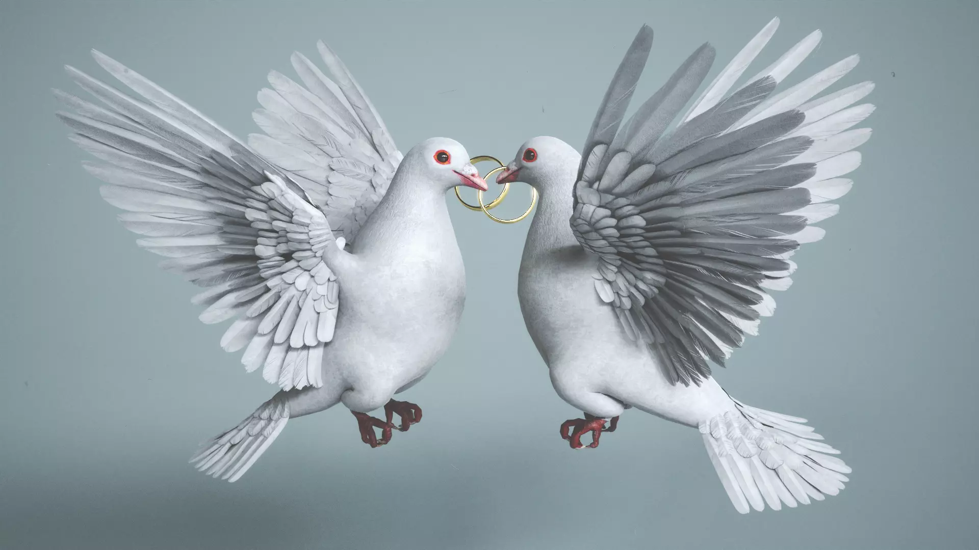 Wedding Dove Low-poly 3D model_0