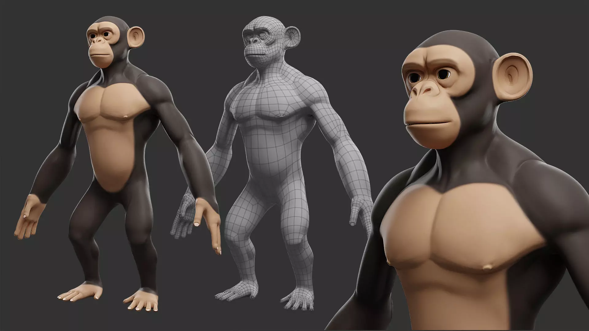 Primate Pack I Stylized II Cartoon 3D Model Collection_7
