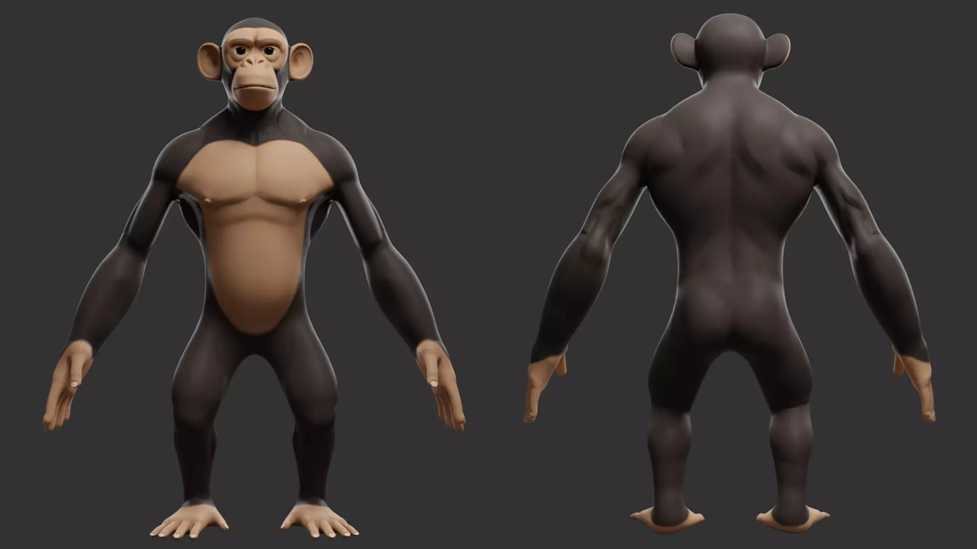 Primate Pack I Stylized II Cartoon 3D Model Collection_19