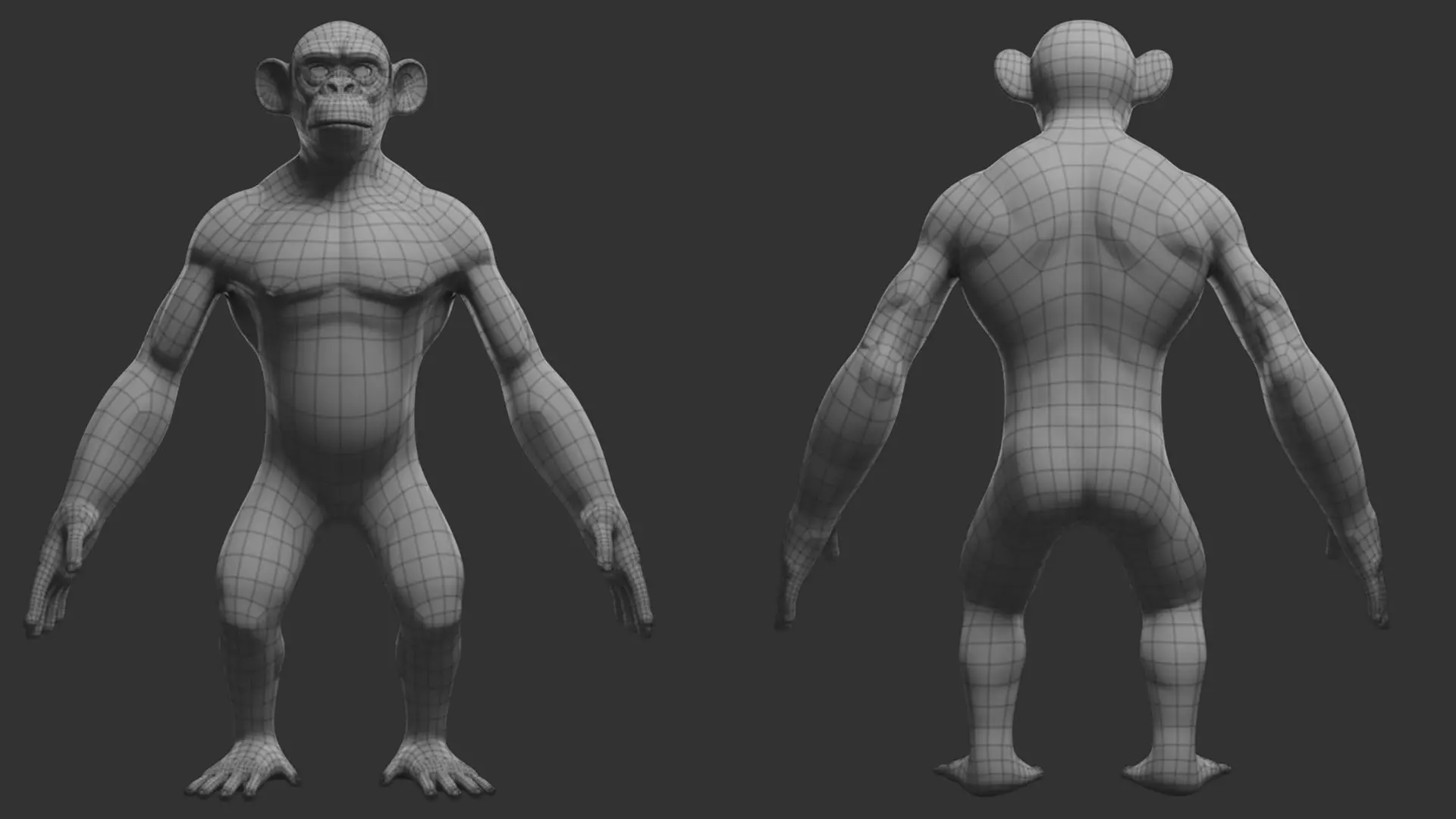 Primate Pack I Stylized II Cartoon 3D Model Collection_20
