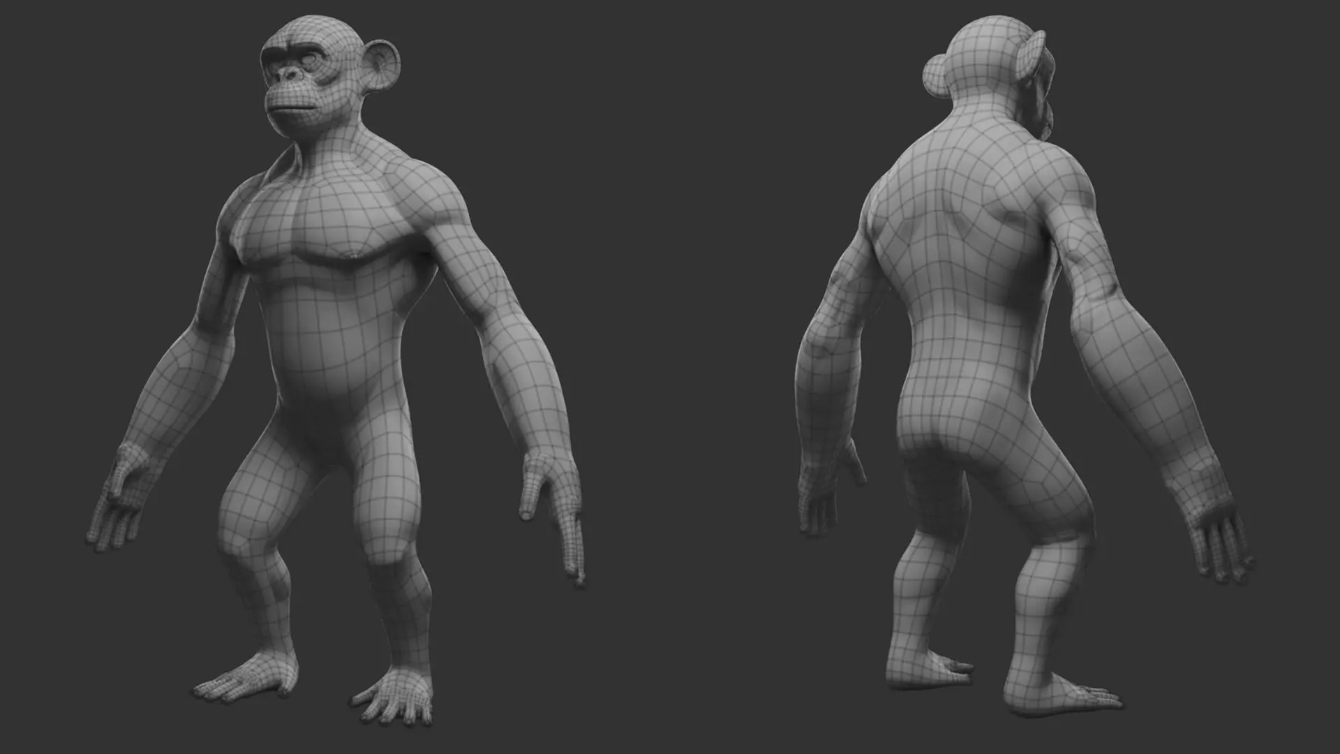 Primate Pack I Stylized II Cartoon 3D Model Collection_22