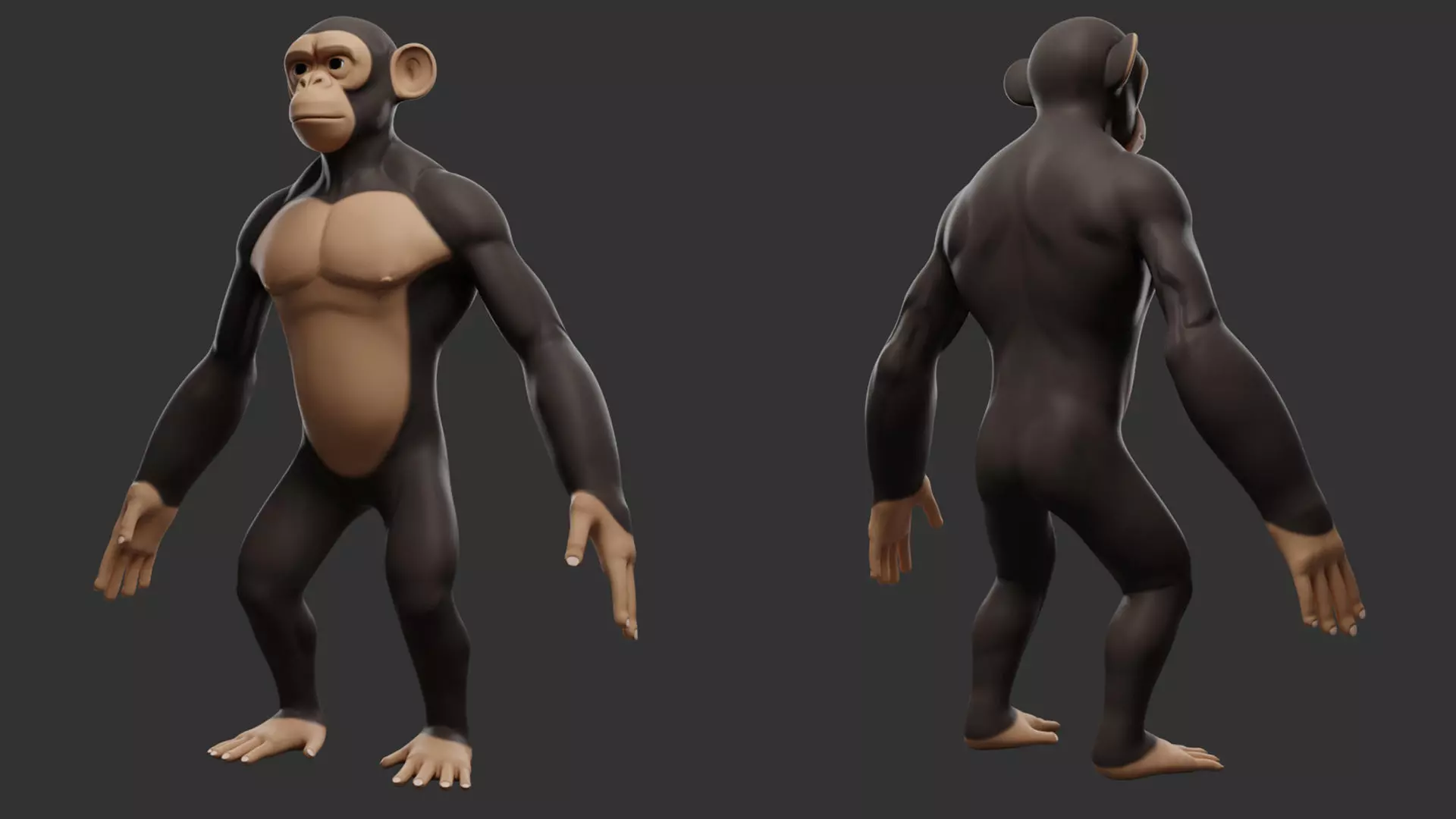 Primate Pack I Stylized II Cartoon 3D Model Collection_21