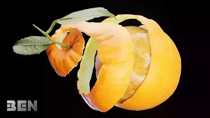 Orange Animated 3D model 6