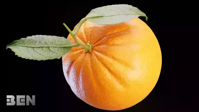 Orange Animated 3D model 4