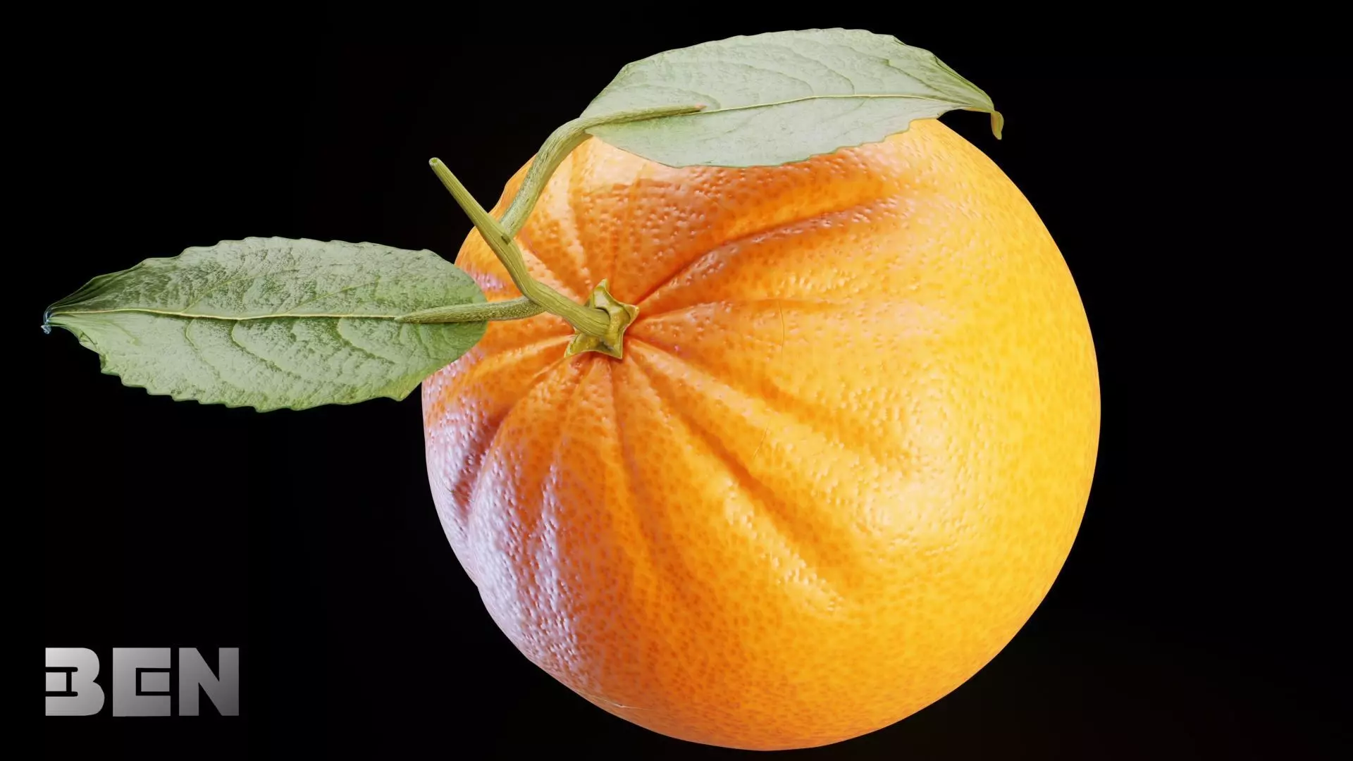 Orange Animated 3D model_4