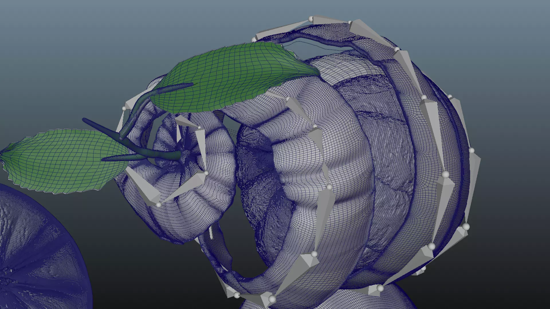 Orange Animated 3D model_23