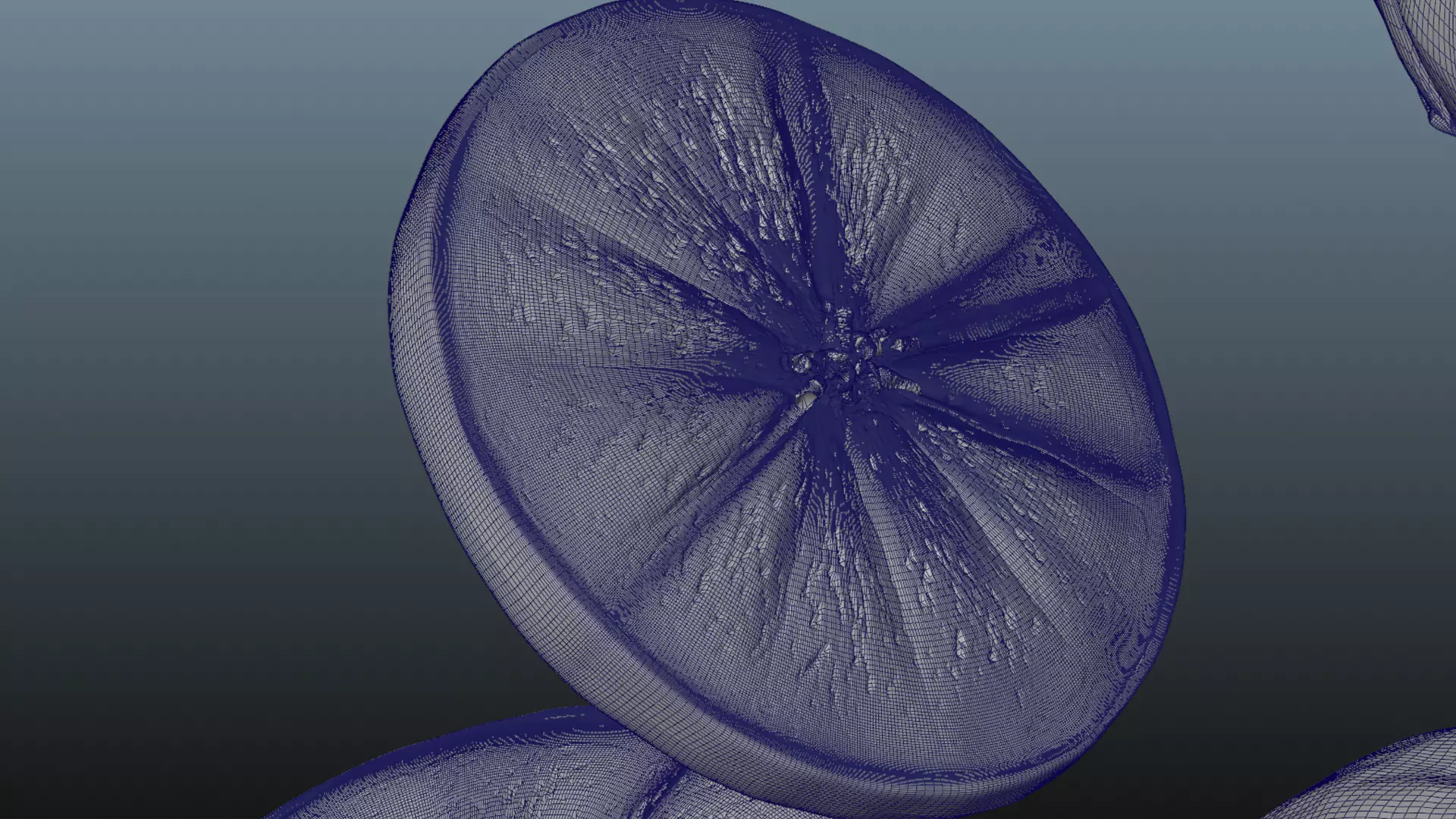 Orange Animated 3D model_24