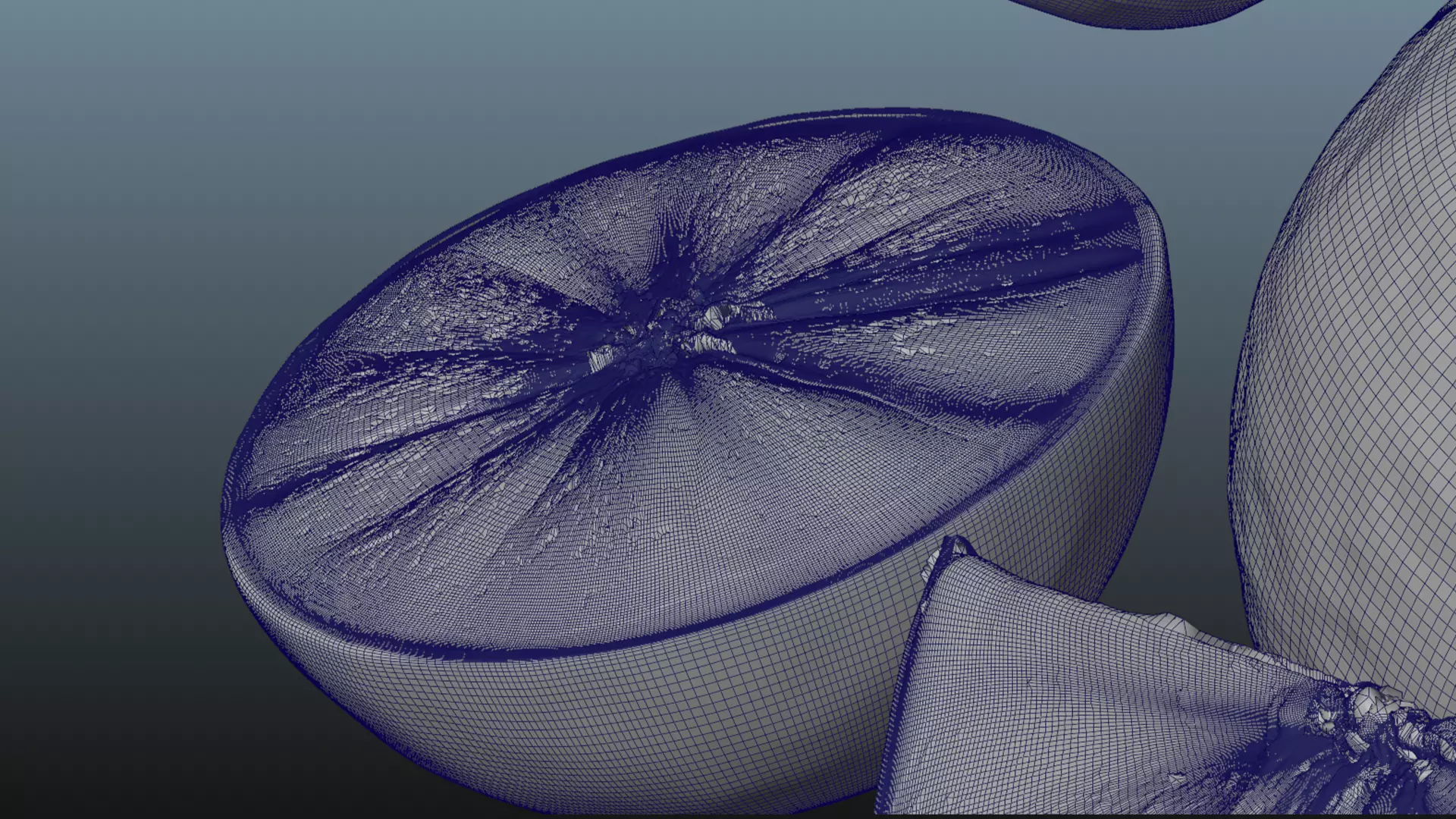 Orange Animated 3D model_21