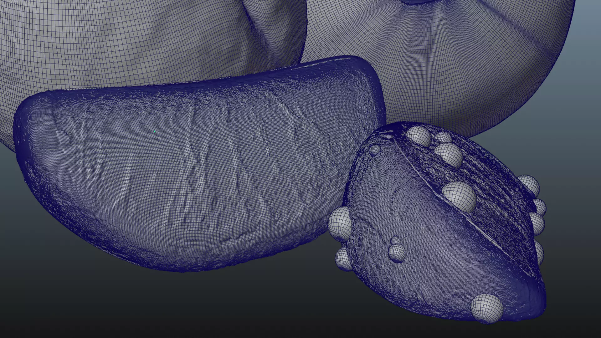 Orange Animated 3D model_25