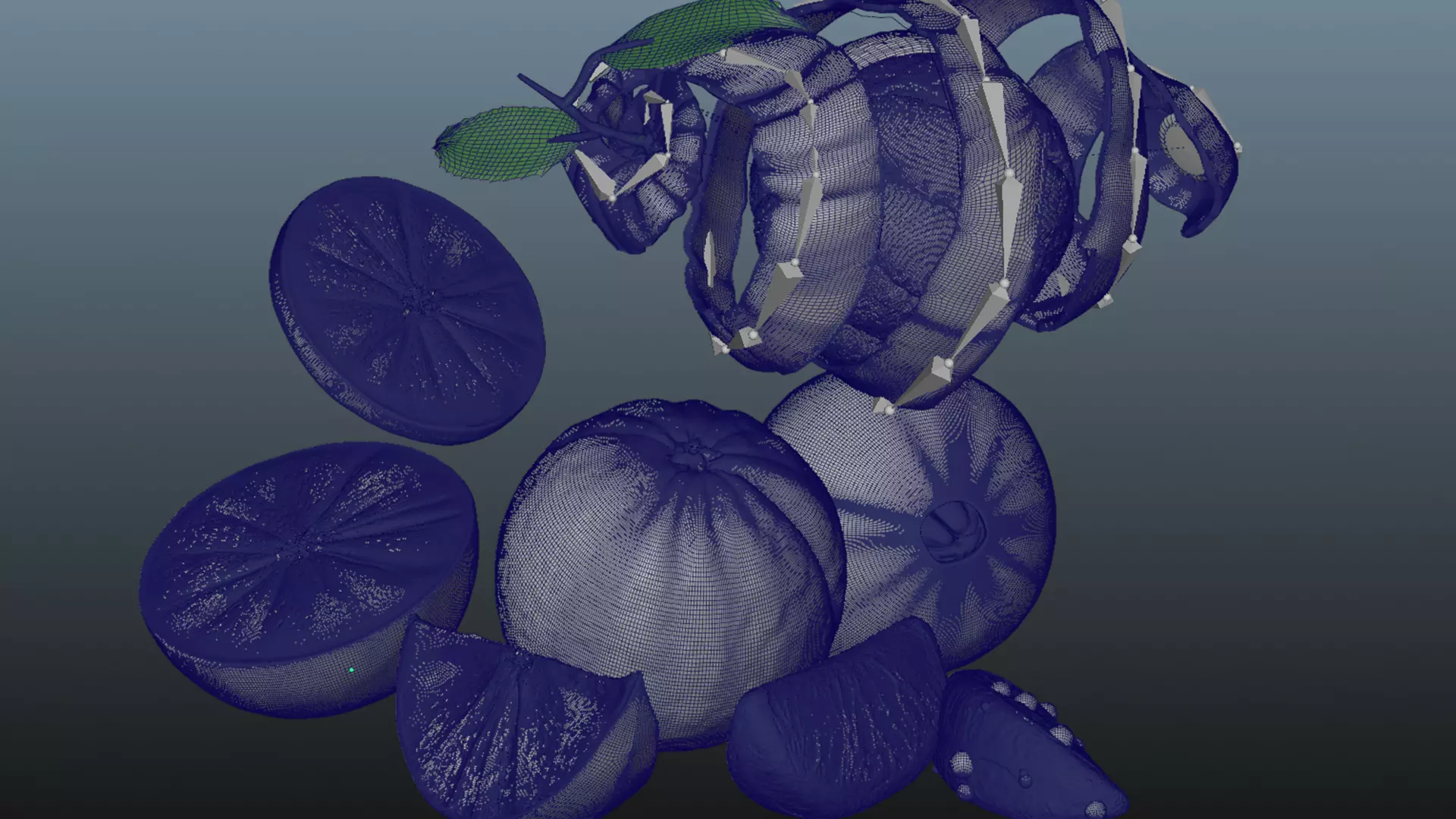 Orange Animated 3D model_19