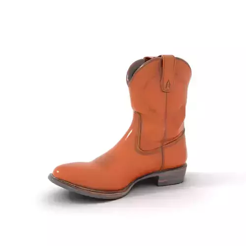 Cowboy Boot Model Pack  Leather Western Style Low-poly 3D model