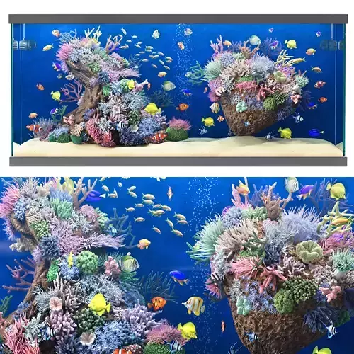 Aquarium 3