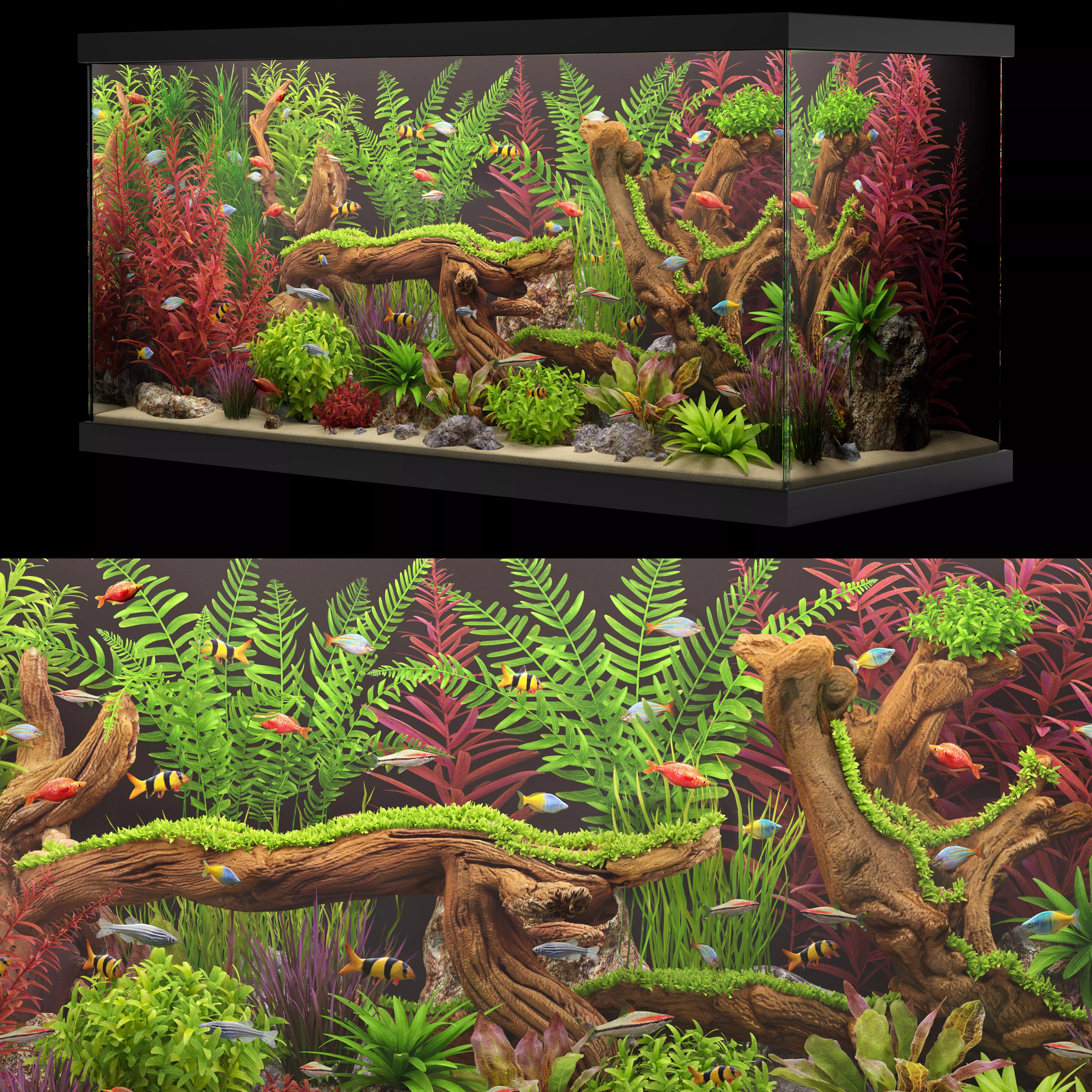 Aquarium 4 3D model_2
