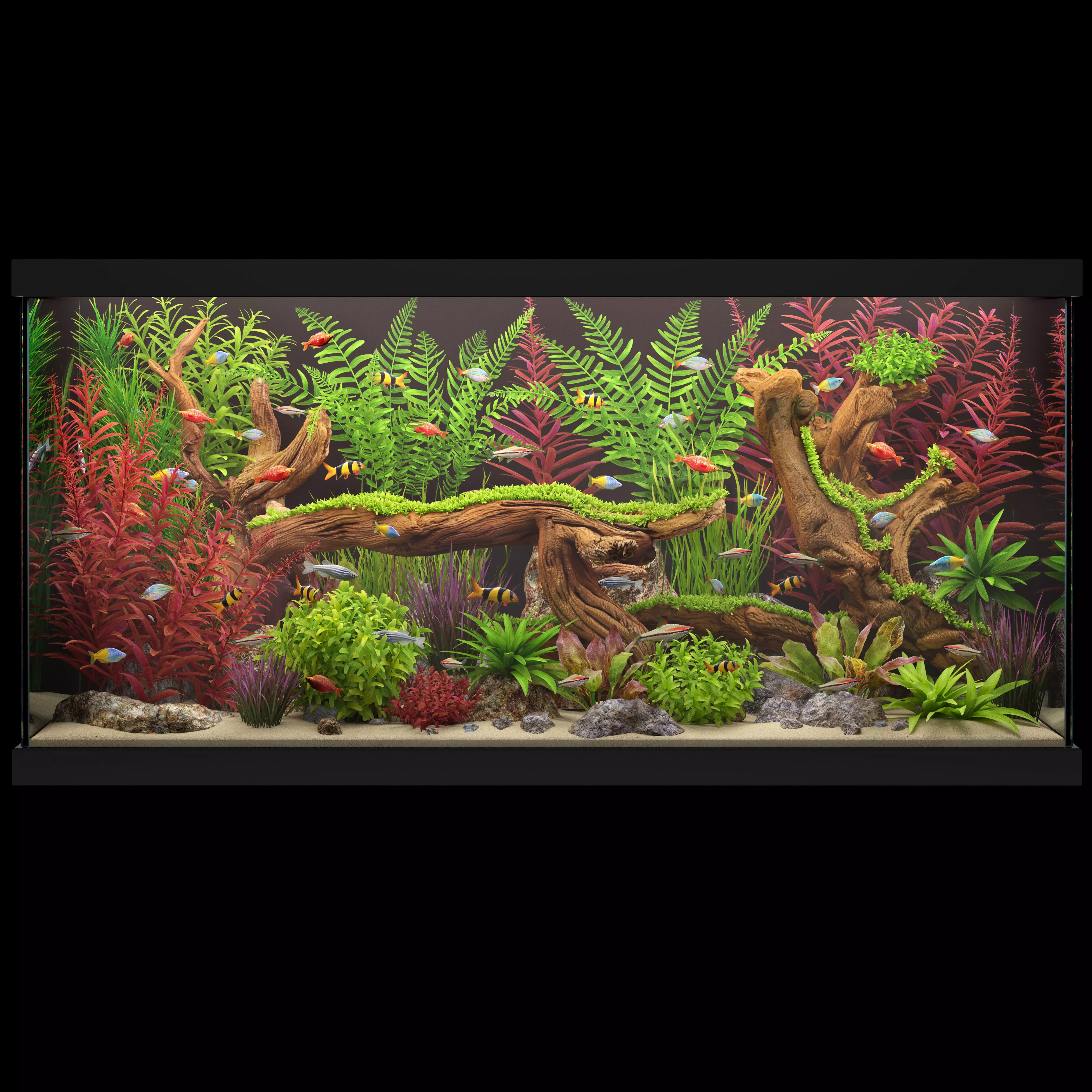 Aquarium 4 3D model_5