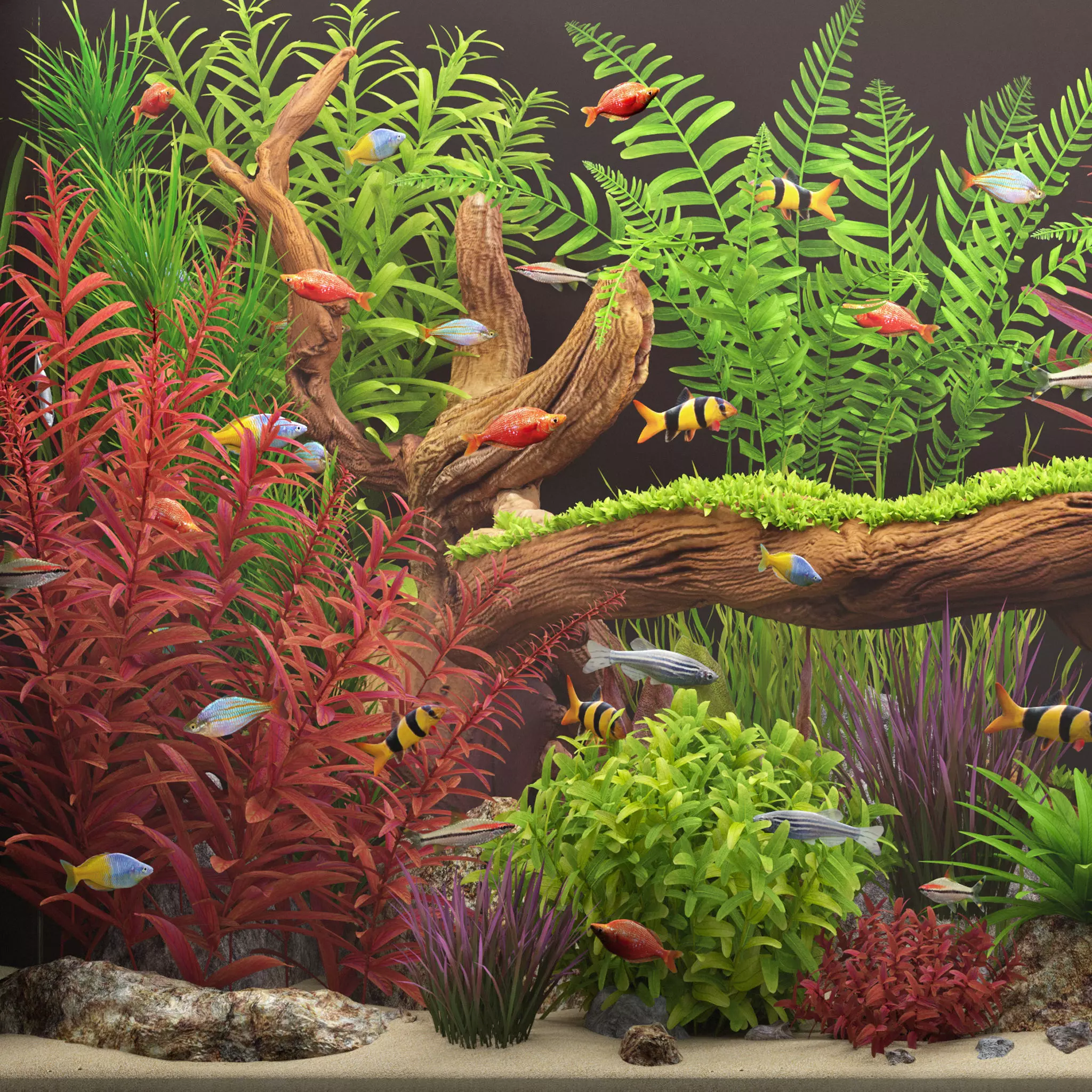 Aquarium 4 3D model_6