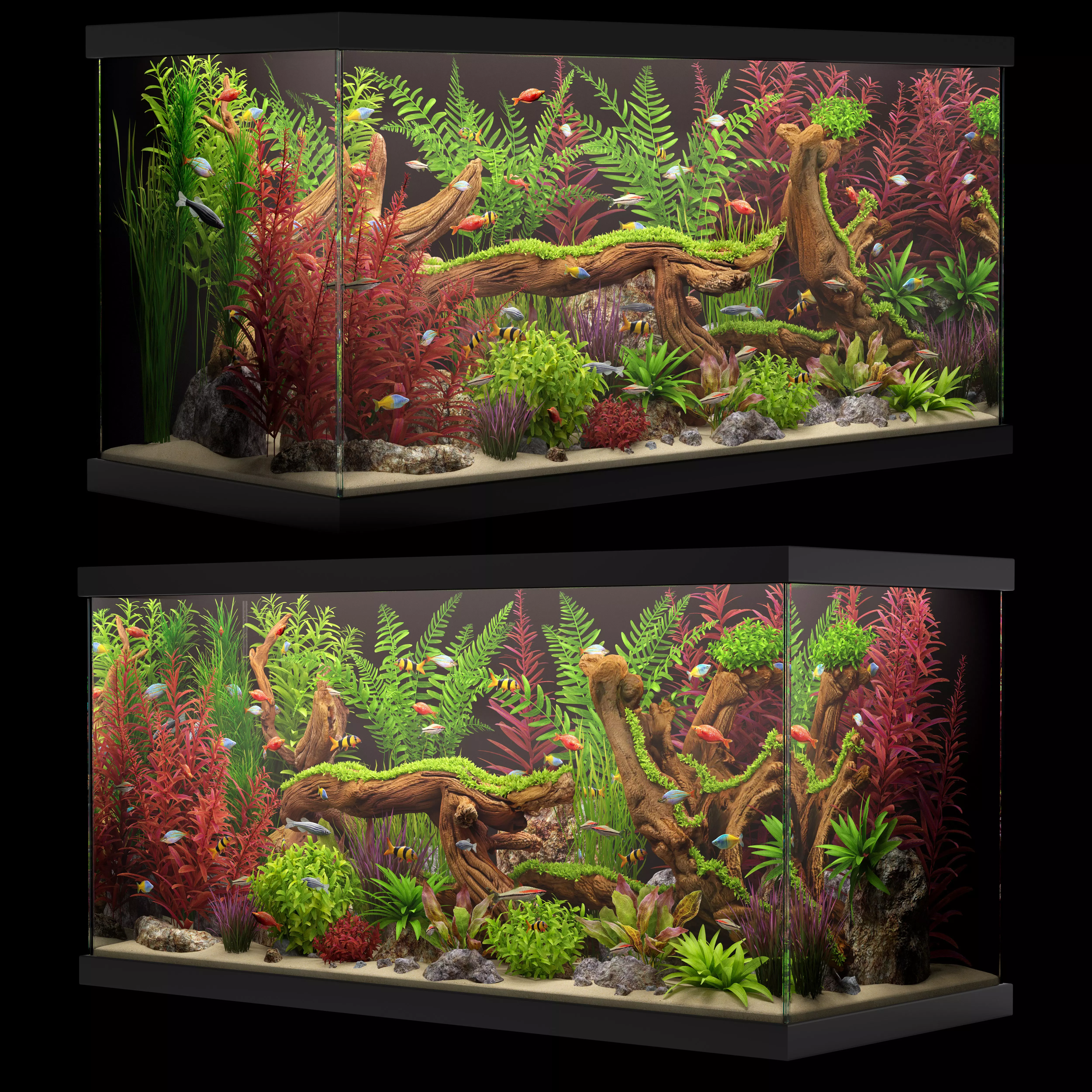 Aquarium 4 3D model_1