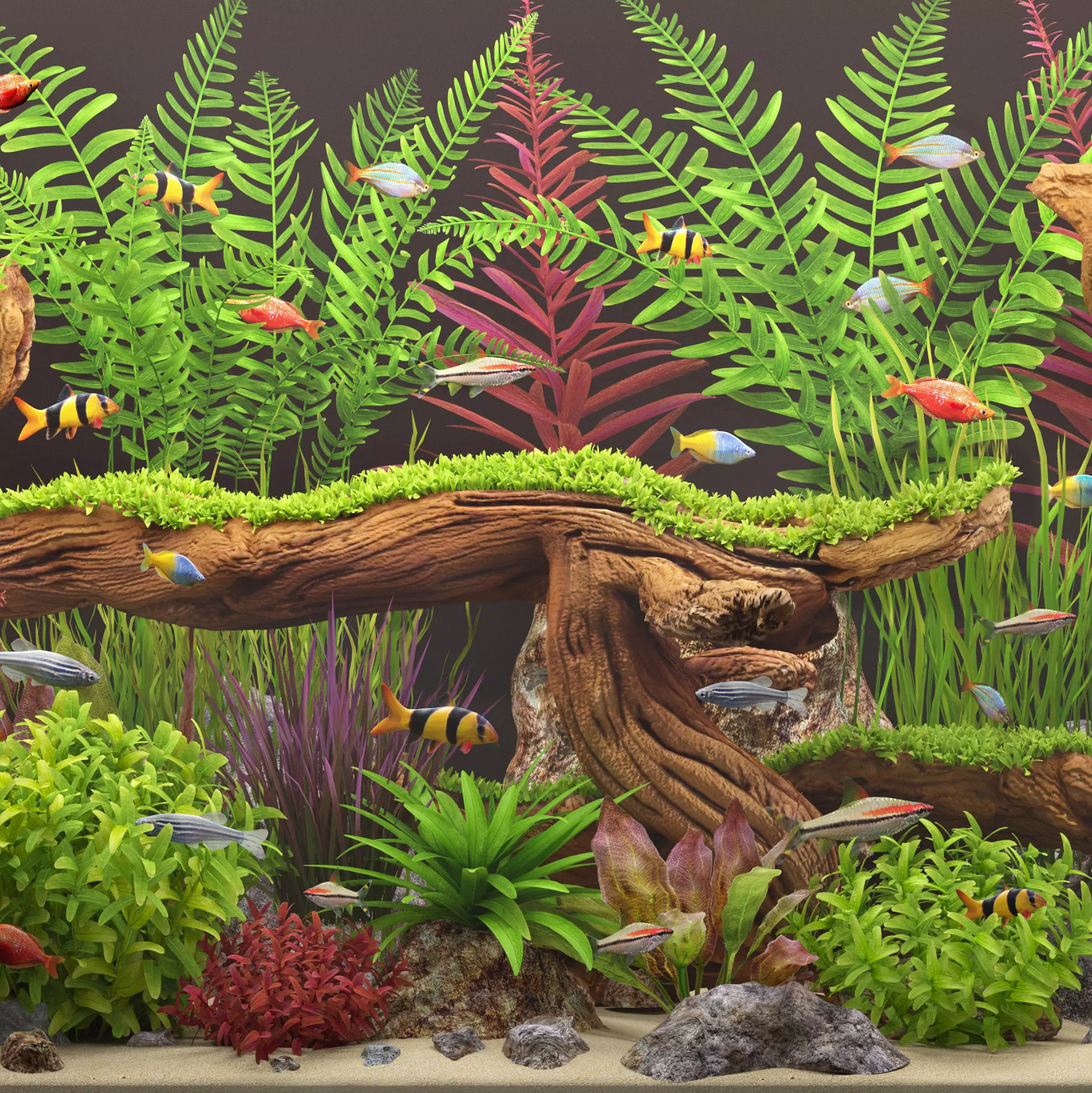 Aquarium 4 3D model_3