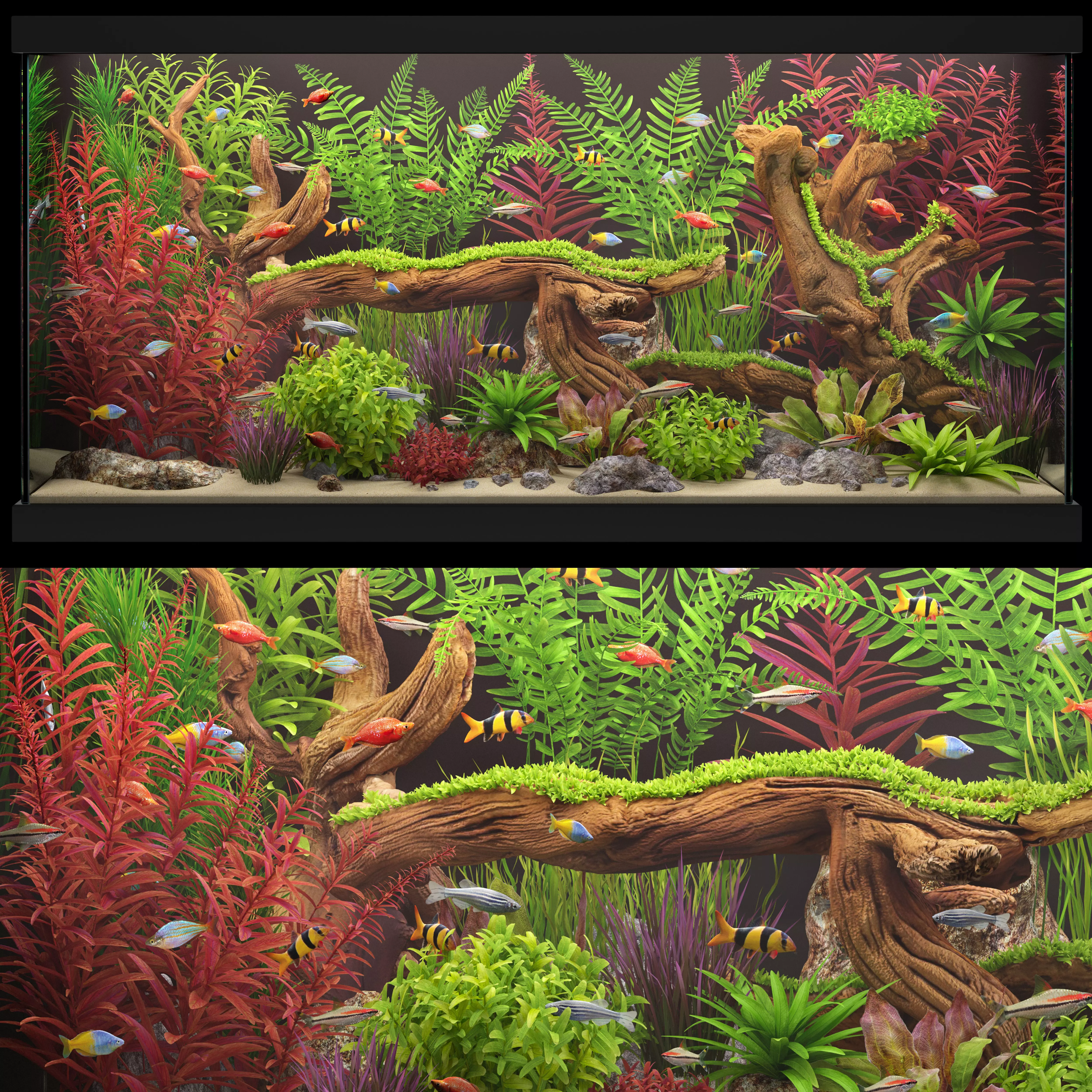 Aquarium 4 3D model_0