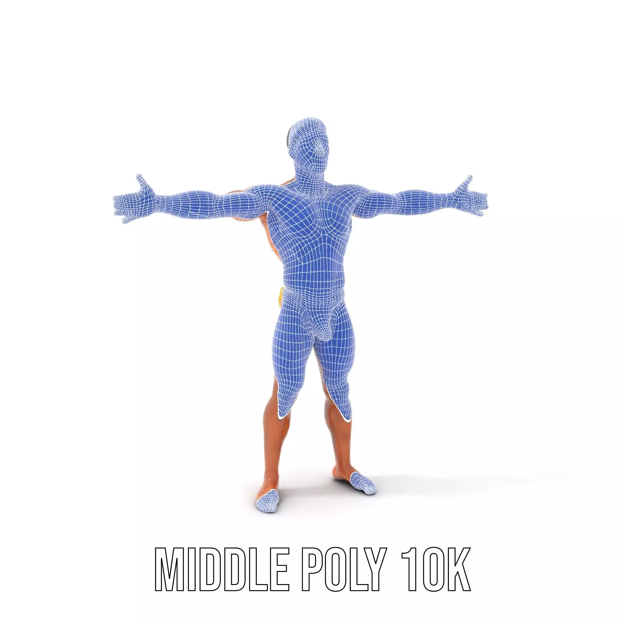 Realistic Male Athletic Model Pack with Detailed Anatomy Low-poly 3D model_13