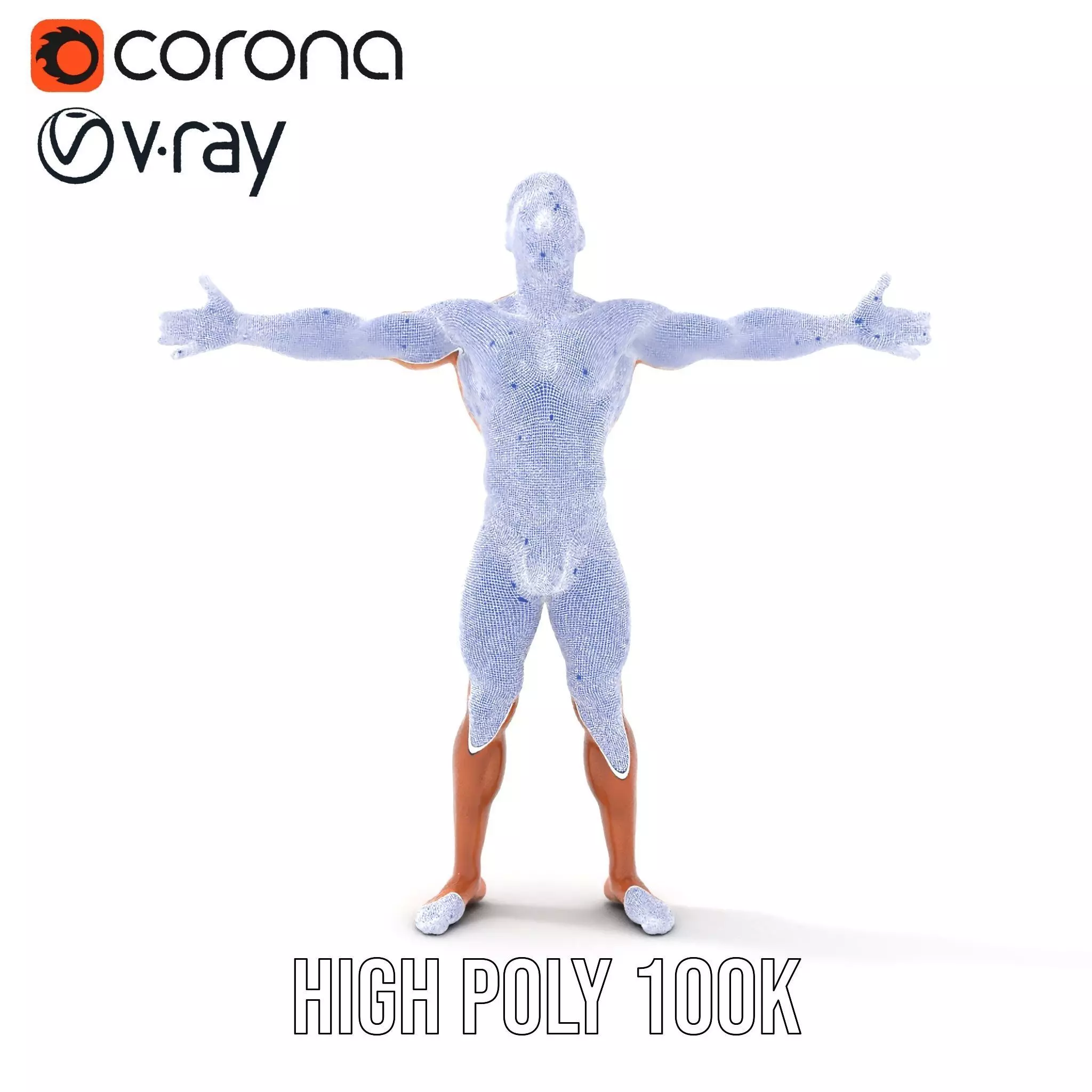 Realistic Male Athletic Model Pack with Detailed Anatomy Low-poly 3D model_31