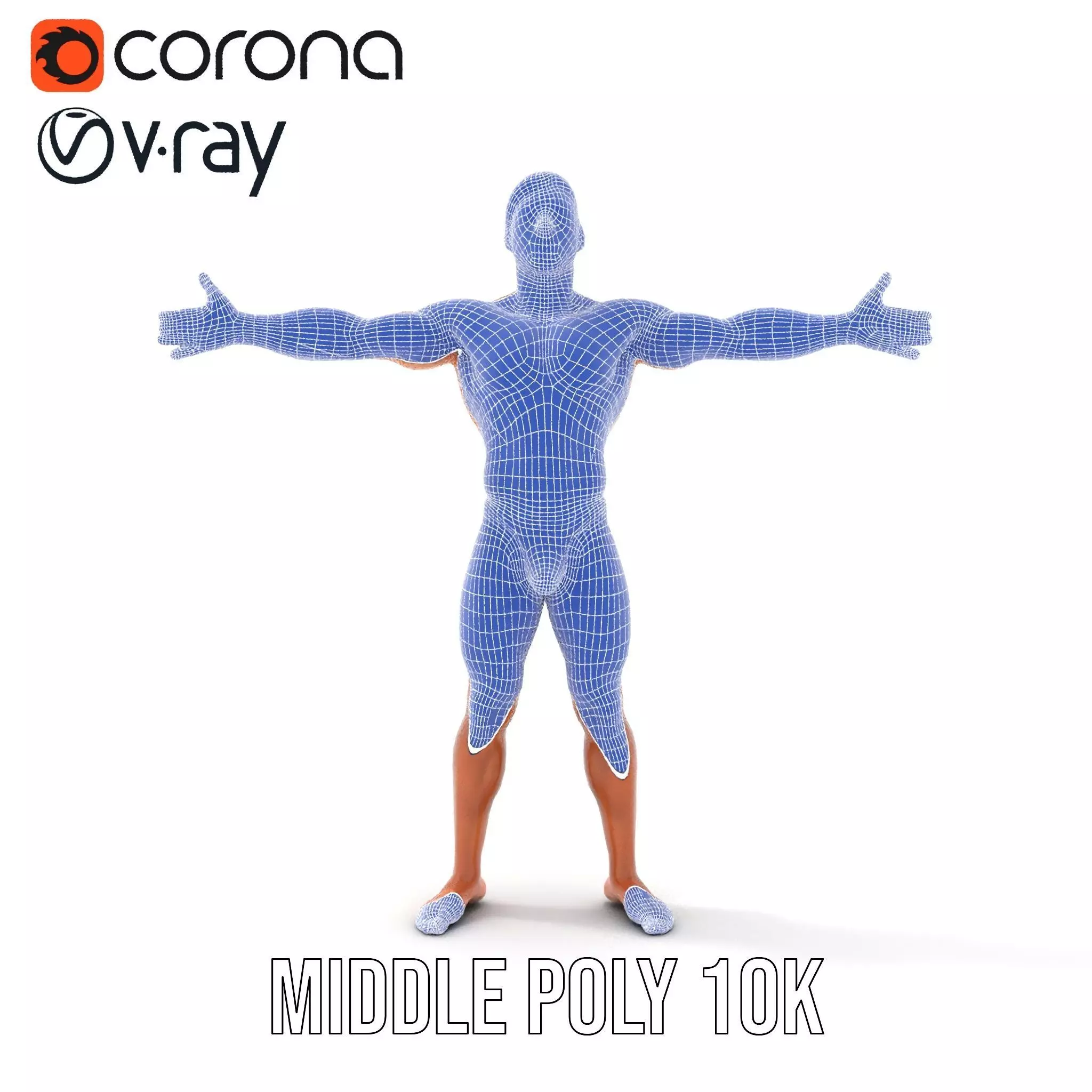 Realistic Male Athletic Model Pack with Detailed Anatomy Low-poly 3D model_29