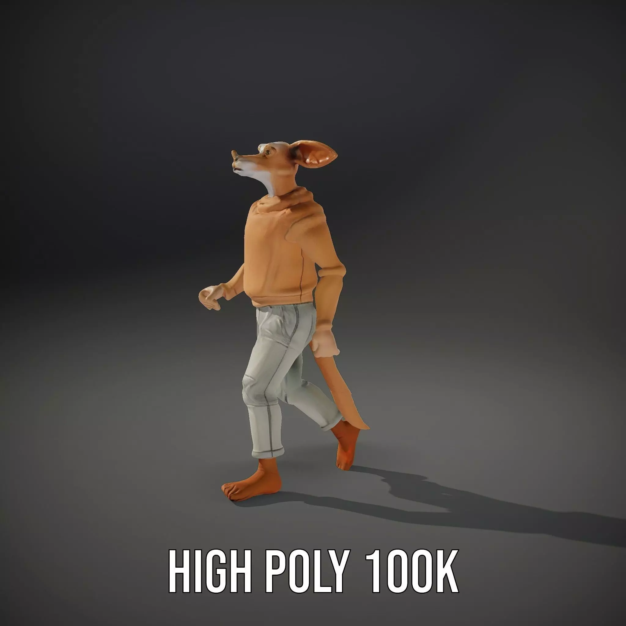 Anthropomorphic Character Model Pack with Tail and Sweater Low-poly 3D model_31