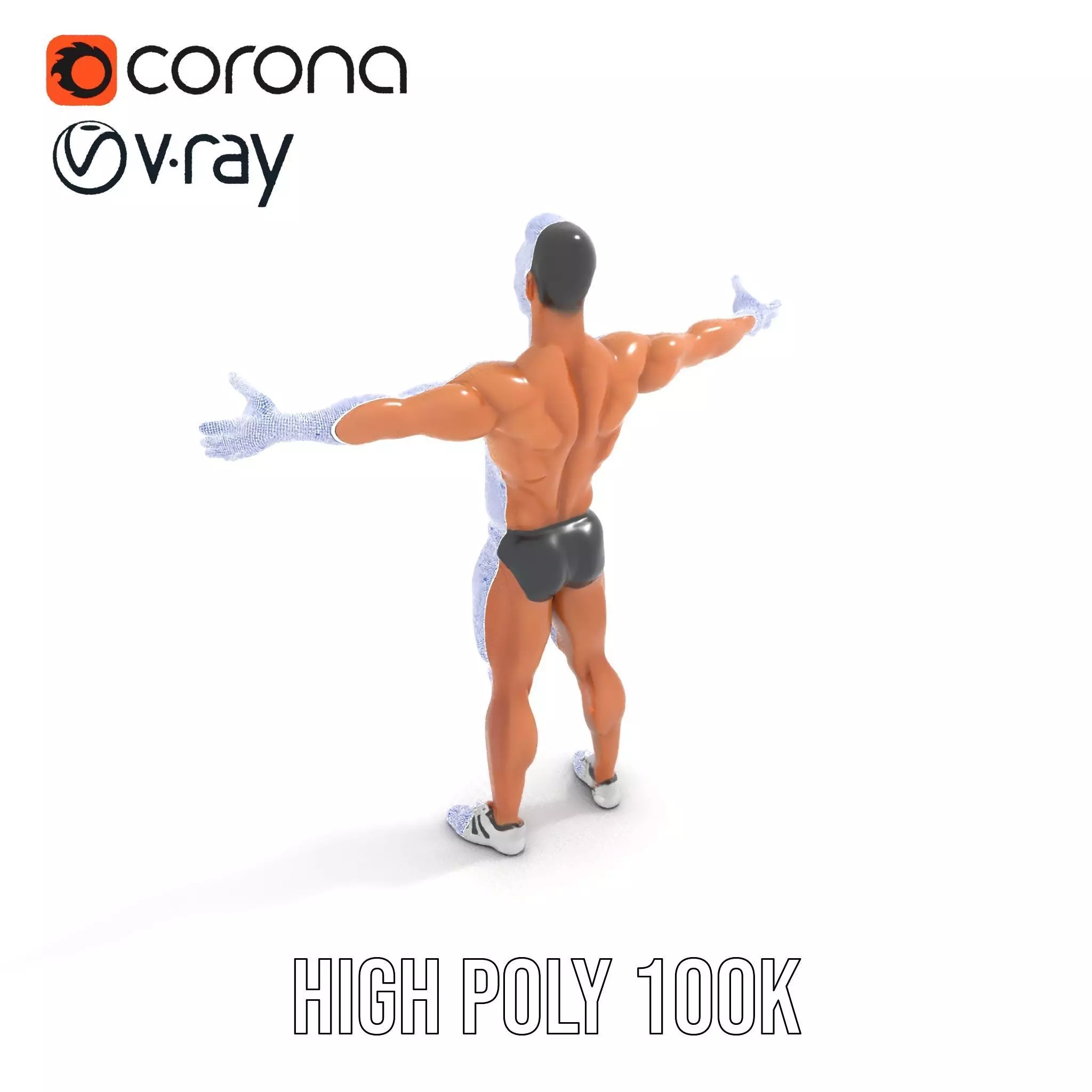 Muscular Male Anatomy Model Pack with Swimsuit Low-poly 3D model_31