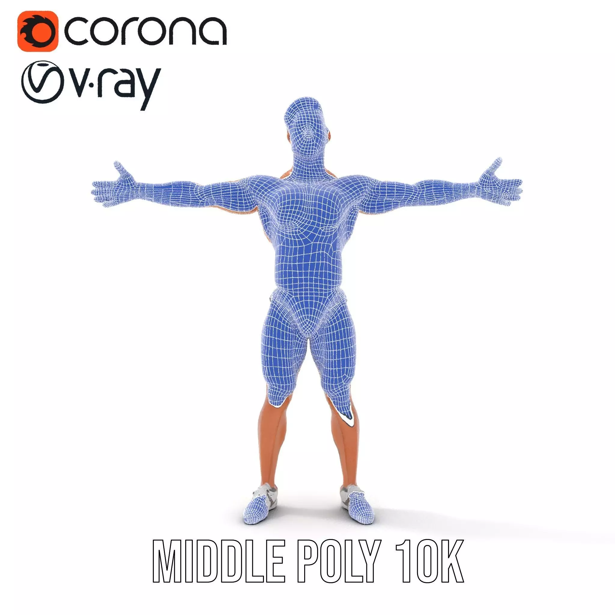 Muscular Male Anatomy Model Pack with Swimsuit Low-poly 3D model_29