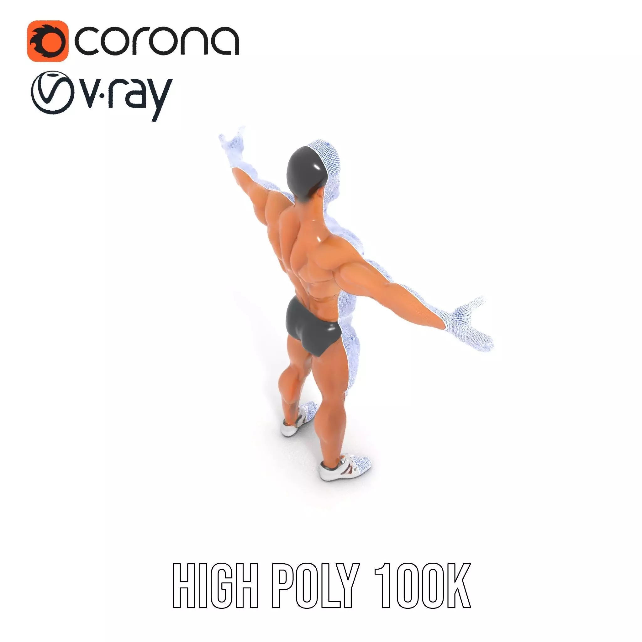 Muscular Male Anatomy Model Pack with Swimsuit Low-poly 3D model_33