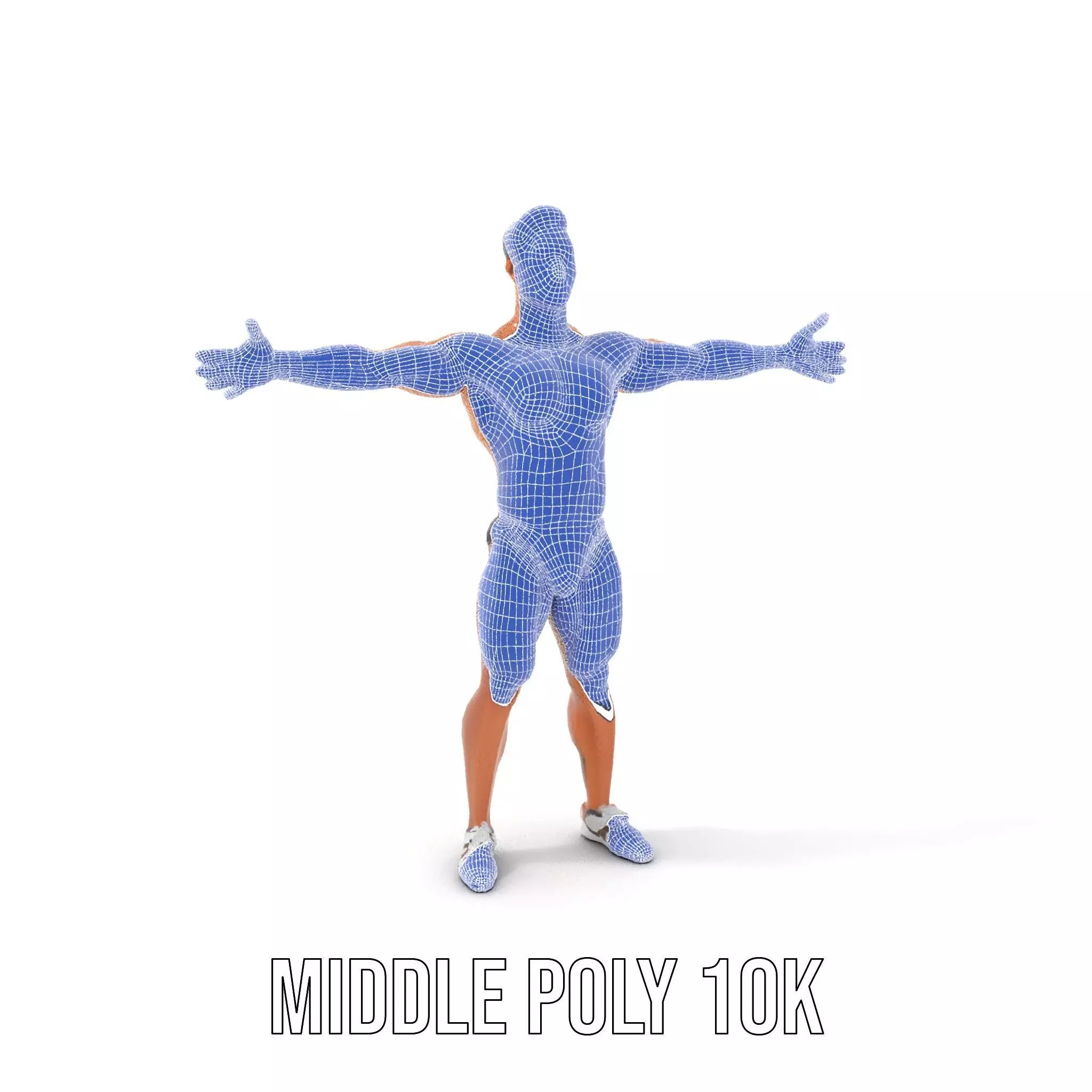 Muscular Male Anatomy Model Pack with Swimsuit Low-poly 3D model_15