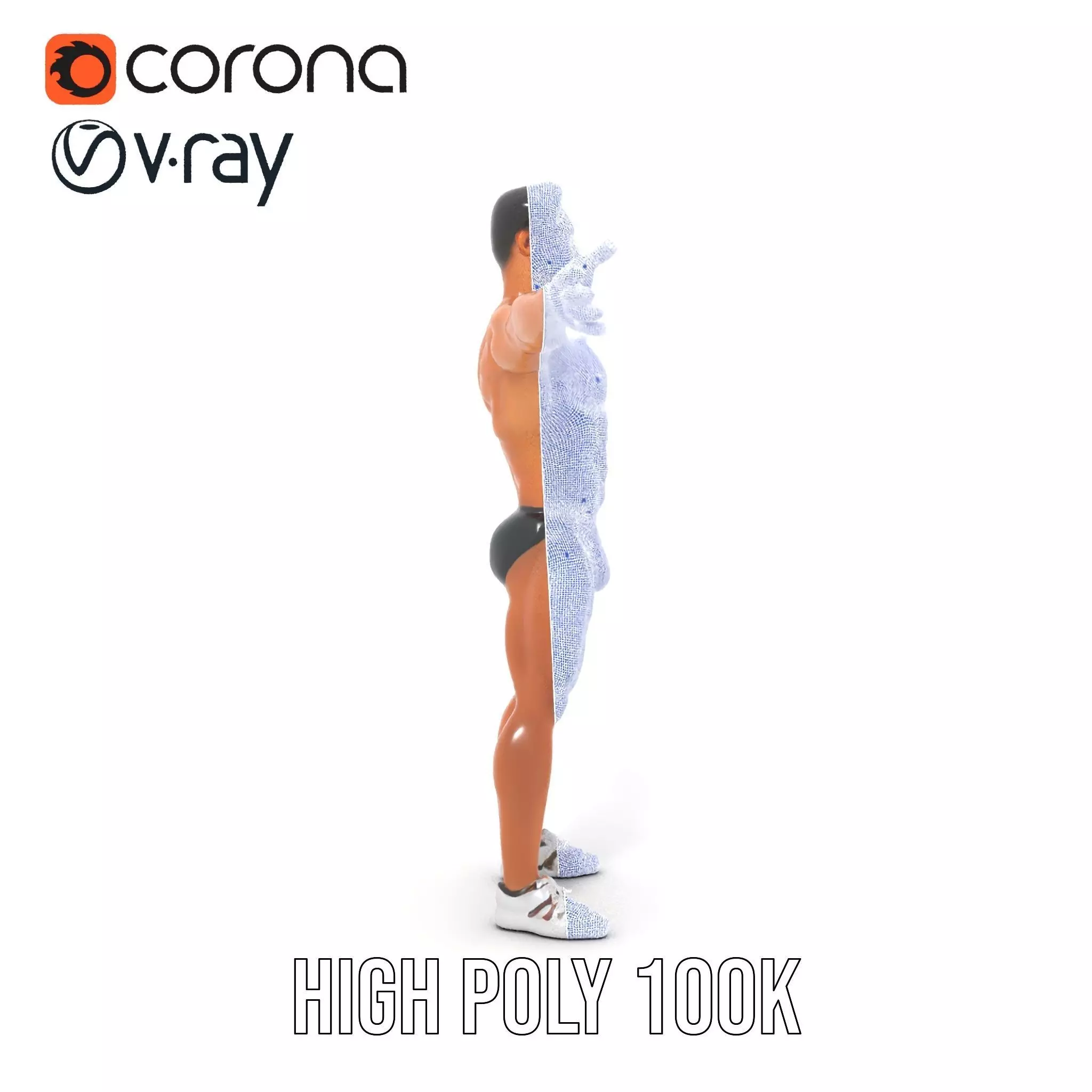 Muscular Male Anatomy Model Pack with Swimsuit Low-poly 3D model_34