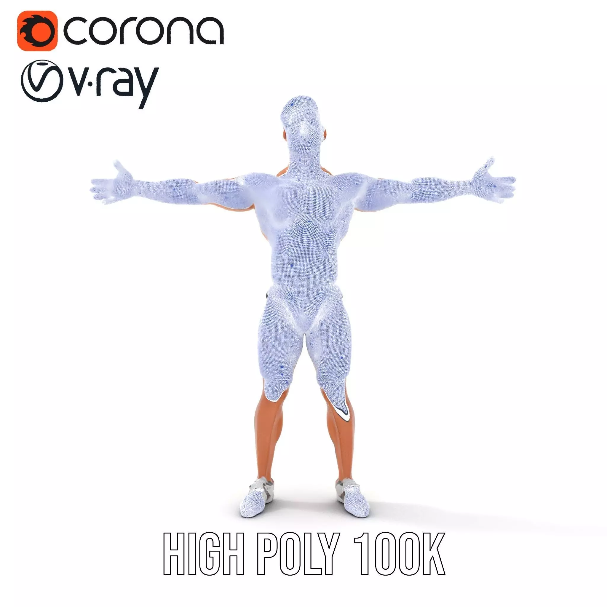 Muscular Male Anatomy Model Pack with Swimsuit Low-poly 3D model_32