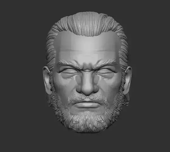 The Punisher Headsculpt for Action Figures