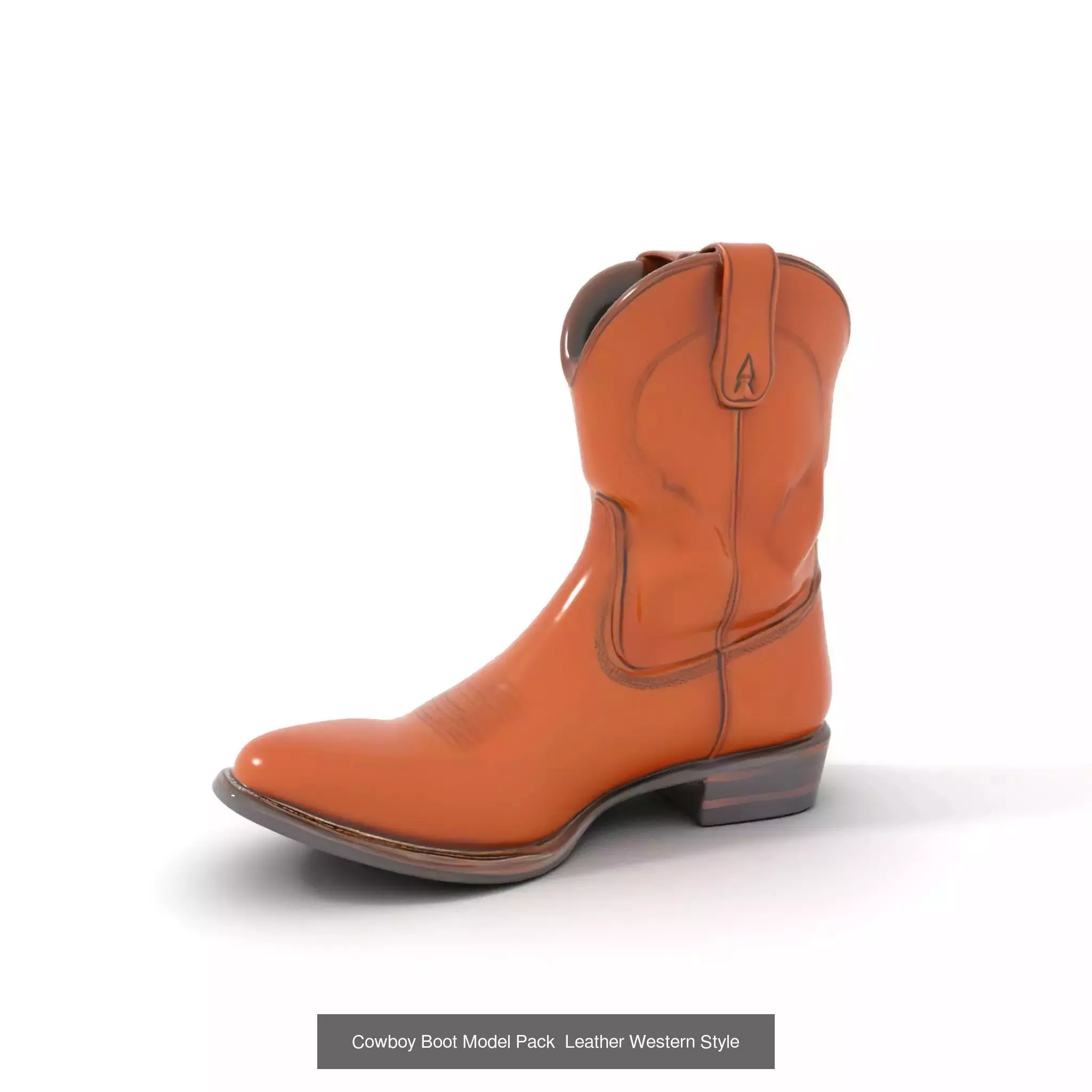 Western Boot Models Collection _52