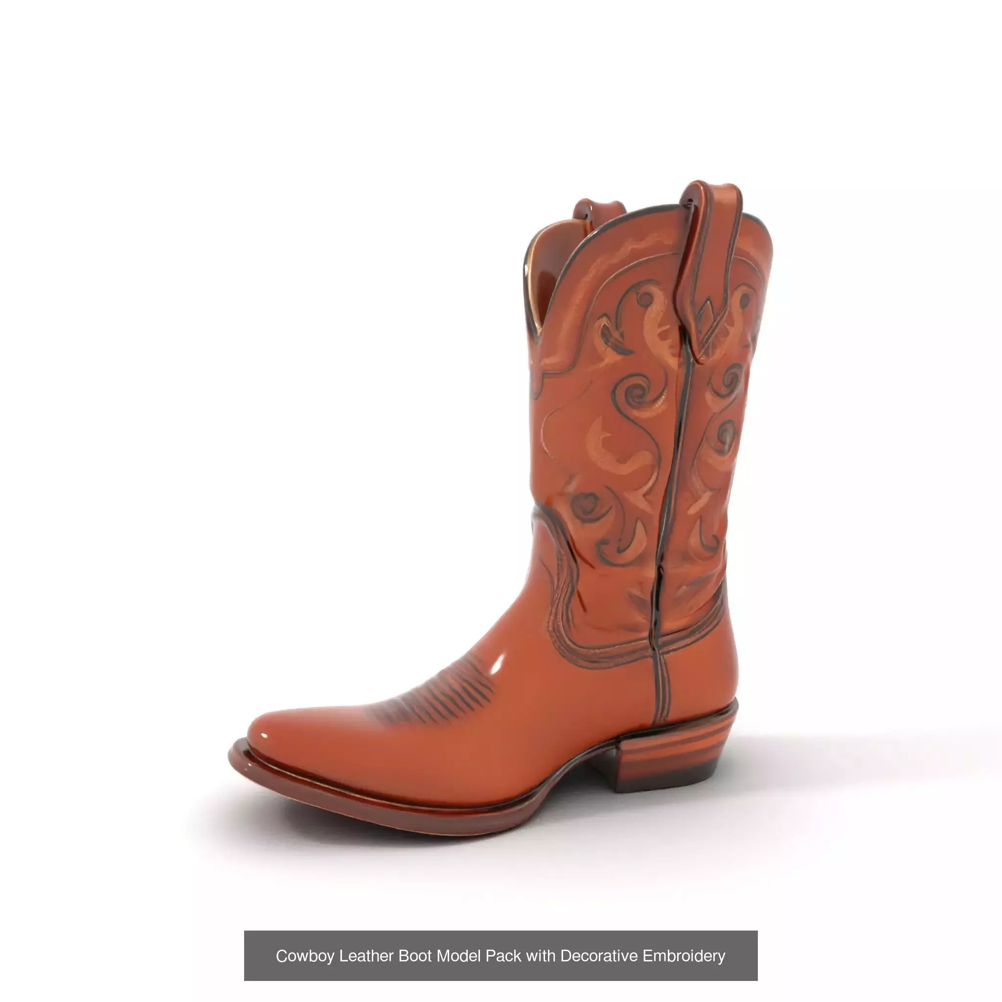 Western Boot Models Collection _46