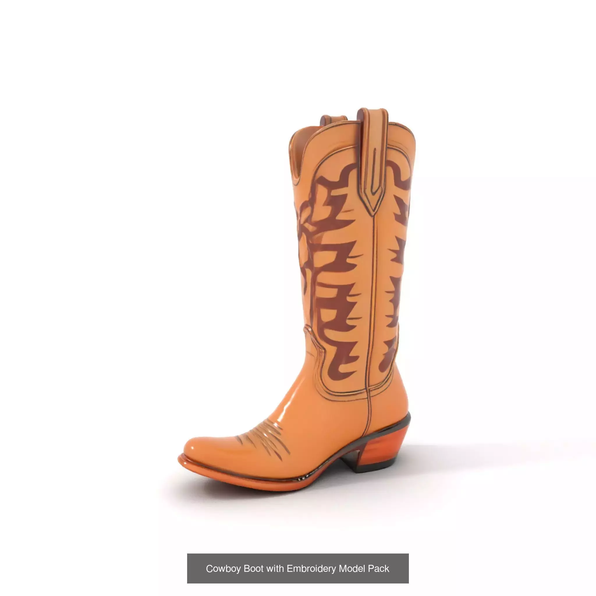 Western Boot Models Collection _35