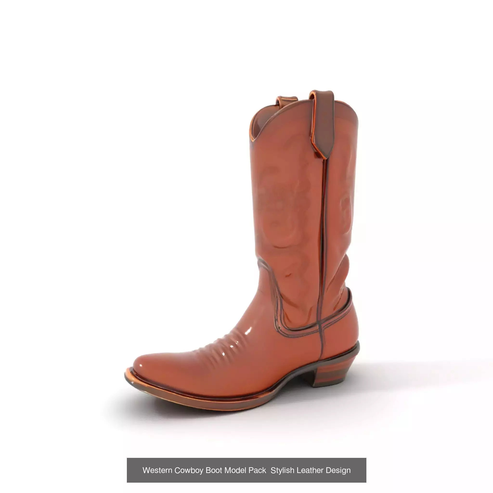 Western Boot Models Collection _36