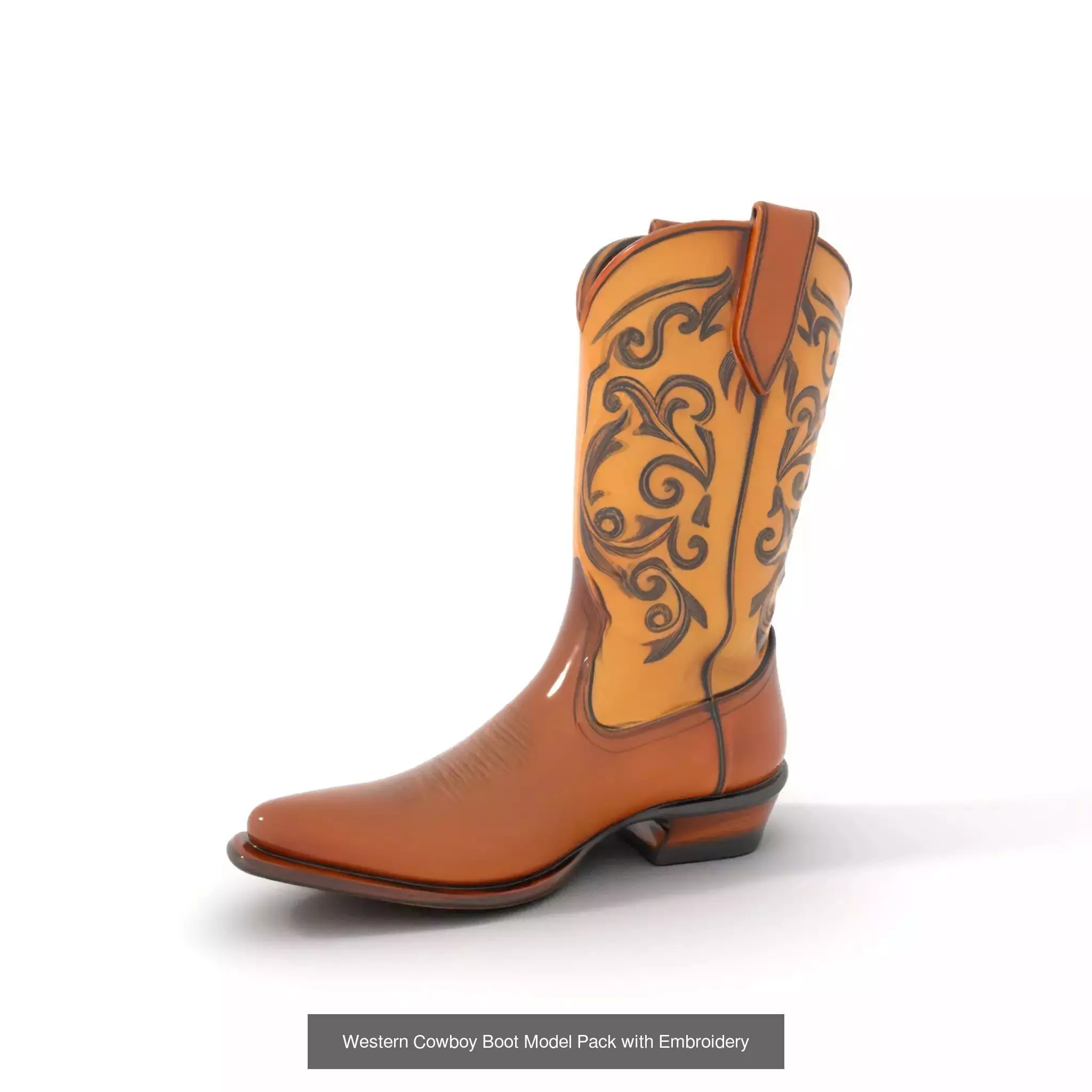 Western Boot Models Collection _45