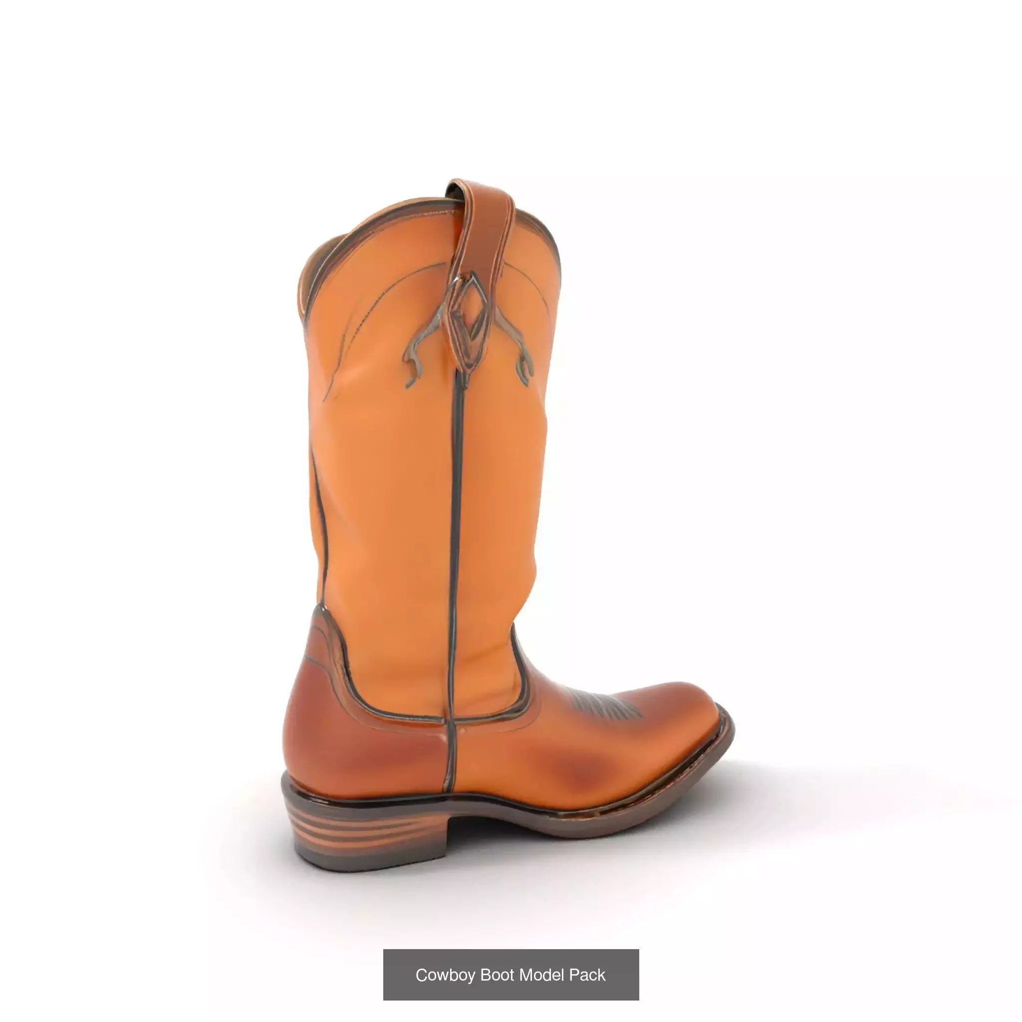 Western Boot Models Collection _39