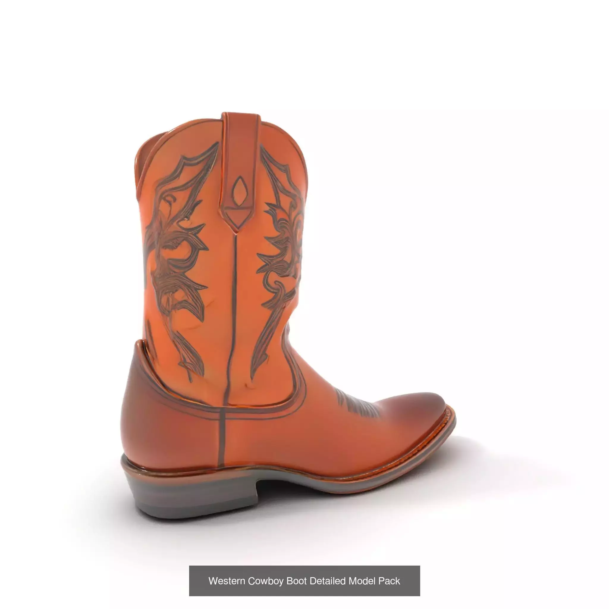 Western Boot Models Collection _49