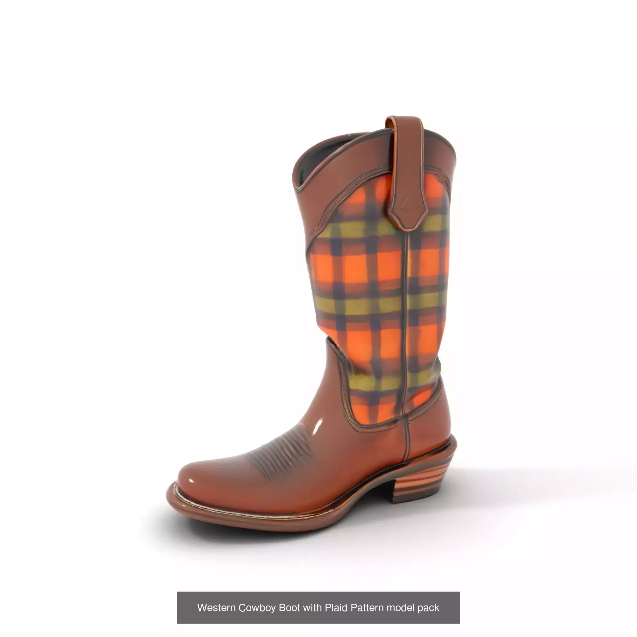 Western Boot Models Collection _48