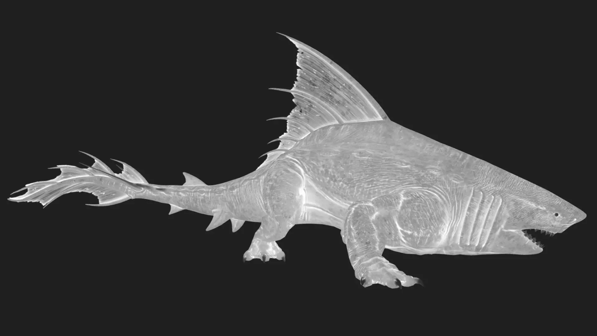 Dragon shark 3D model_13