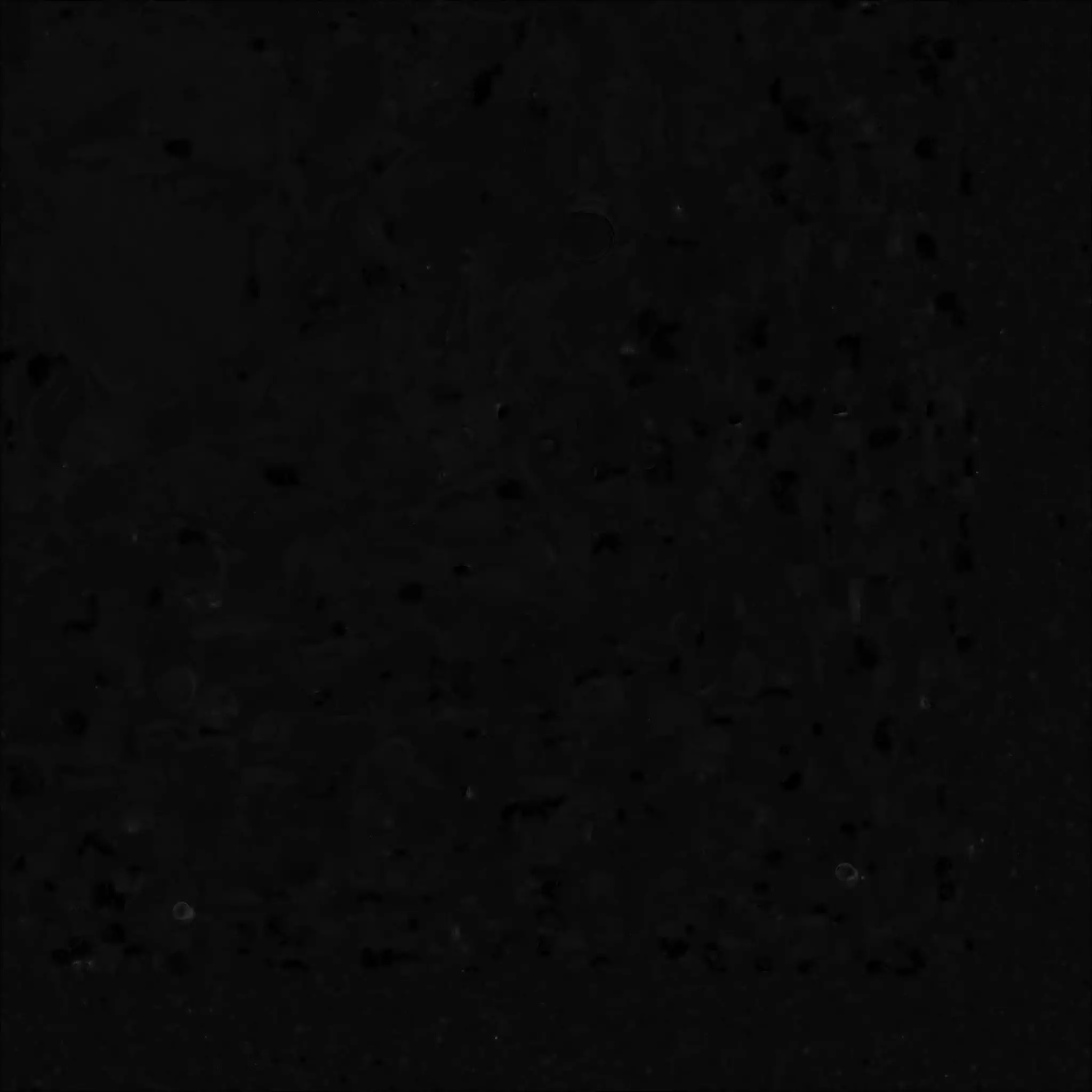 Magical Enchanted Treehouse 3D Masterpiece Low-poly 3D model_2