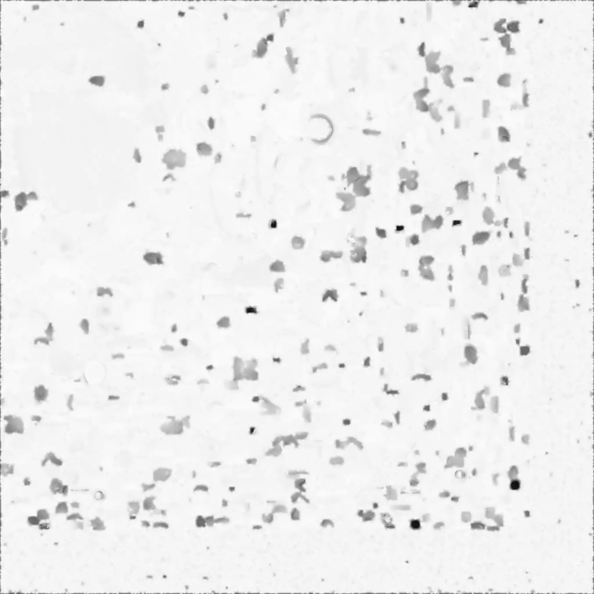 Magical Enchanted Treehouse 3D Masterpiece Low-poly 3D model_4