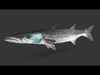 Realistic Barracuda Animated 3D model_1