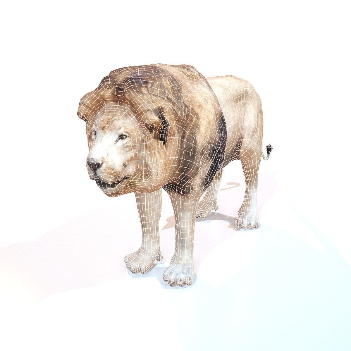 Lion Rigged Low-poly 3D model_6