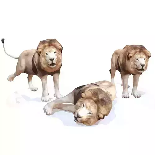 Lion Rigged Low-poly 3D model