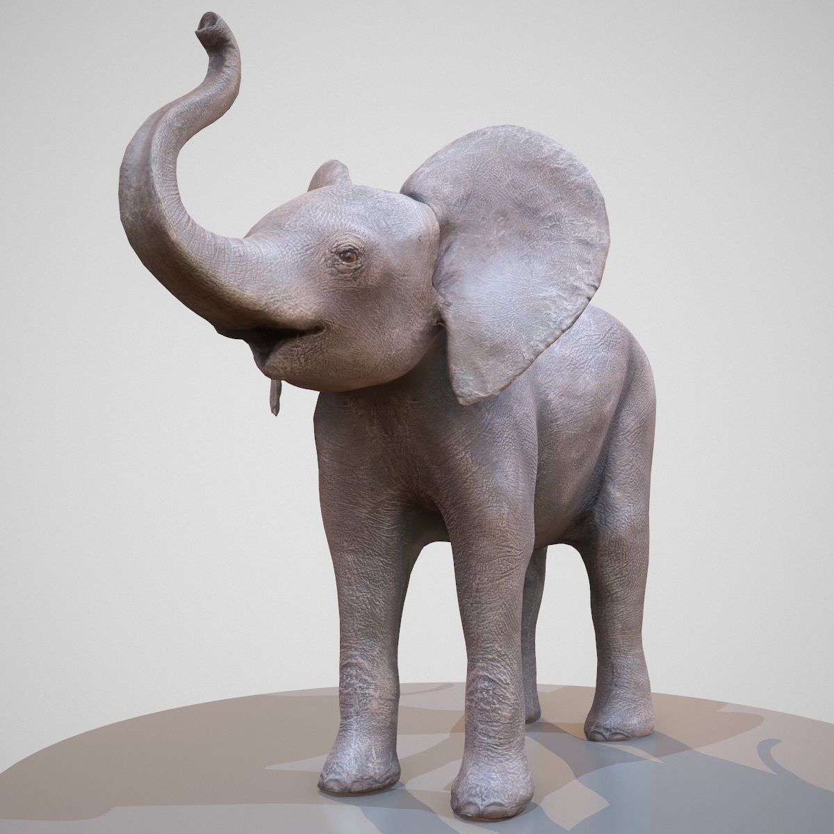 5 Rigged African Safari Animals Collection Low-poly 3D model_5