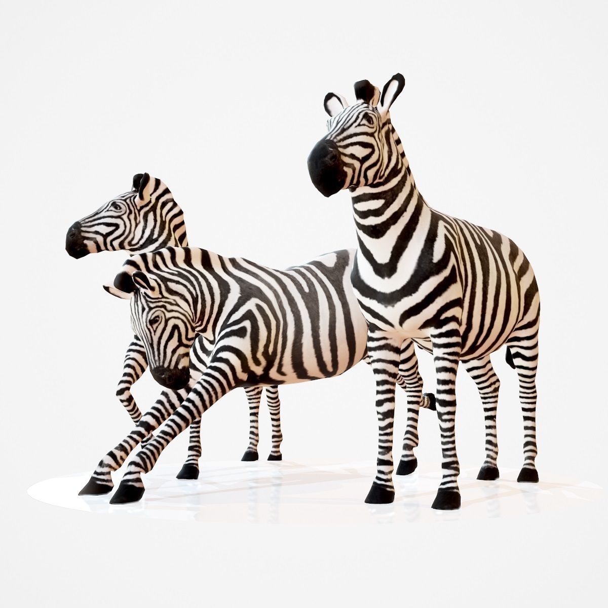 5 Rigged African Safari Animals Collection Low-poly 3D model_25