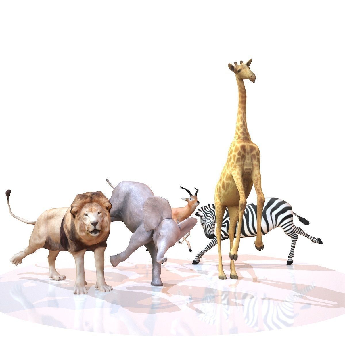 5 Rigged African Safari Animals Collection Low-poly 3D model_28